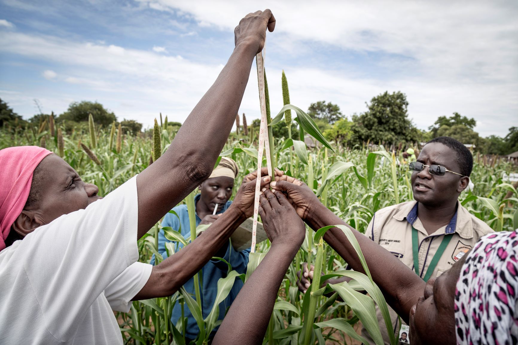 Agriculture Production